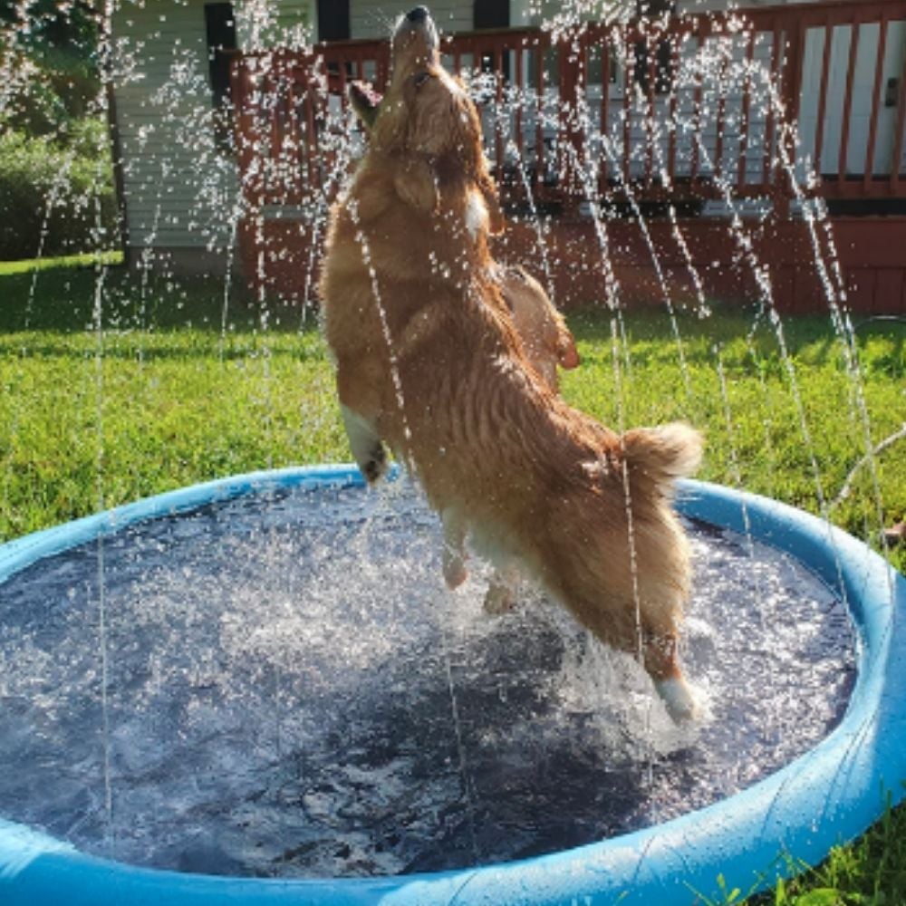 π₯ Non-Slip Splash Pad for Kids and Dog
